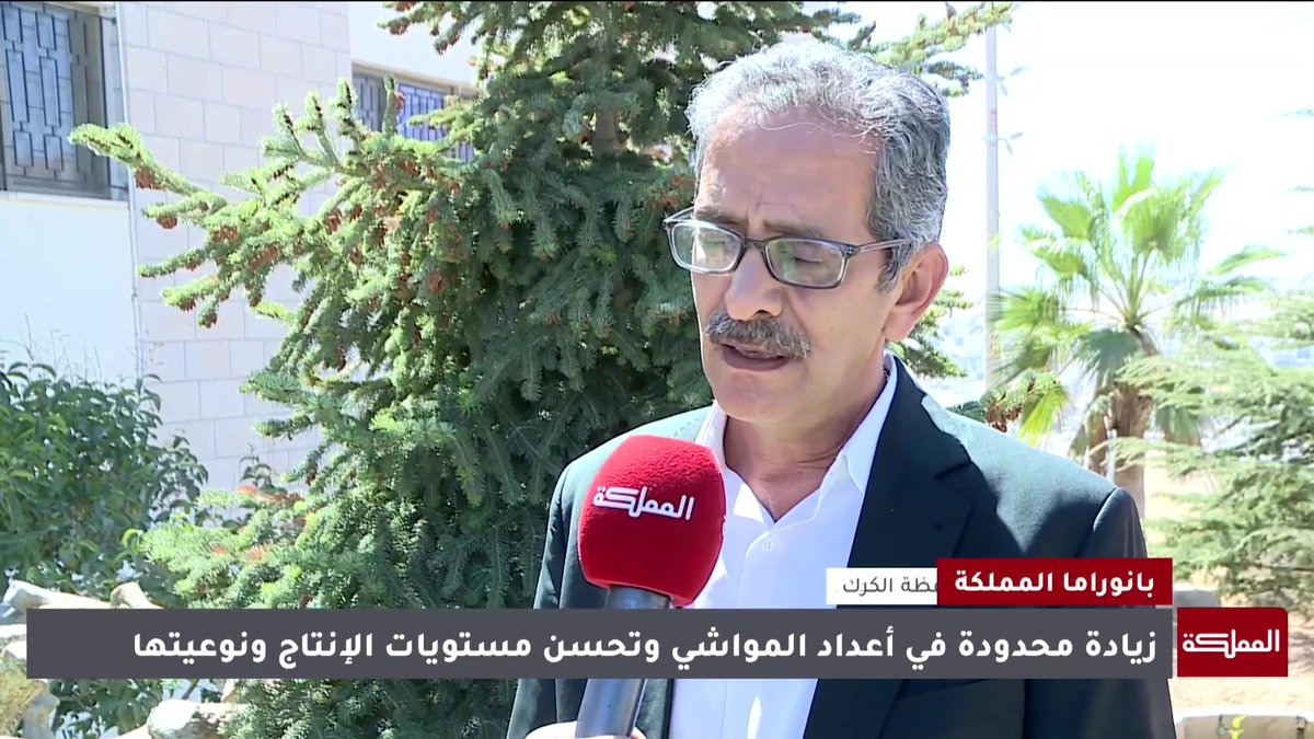 وفرة الموسم الزراعي الماضي تنعش قطاع الثروة الحيوانية في الكرك #الأردن 