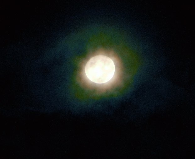 star_4_t's tweet photo. 2026年9月 満月🌕
#コーンムーン🌽
Corn Moon🌝
バーリームーン
ハーベストムーン
中秋の名月
いまつき
雨が多いですが、日付が変わった夜中に一瞬参上されました☺

#写真で伝えたい私の世界 
#カメラ好きな人と繋がりたい
#写真好きな人と繋がりたい
#写真で奏でる私の世界 https://t.co/jNSjRbjYyP