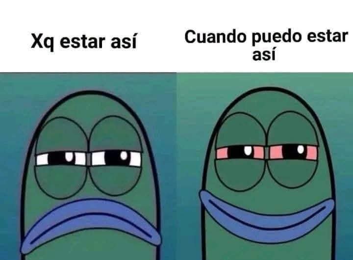 BreakinGatos's tweet photo. Puedo https://t.co/T4M01eFTY7