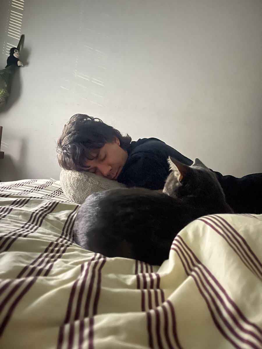 misaaee_e's tweet photo. sweet kitty boyyy https://t.co/UfjKvuq6cb