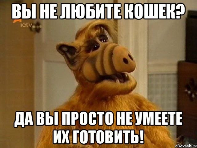 MaestroAvia's tweet photo. @YaSlishkomStar Вам просто надо научиться их (мужчин) готовить.

*кошек - читать "мужчин" https://t.co/5NuE8Df5Qj