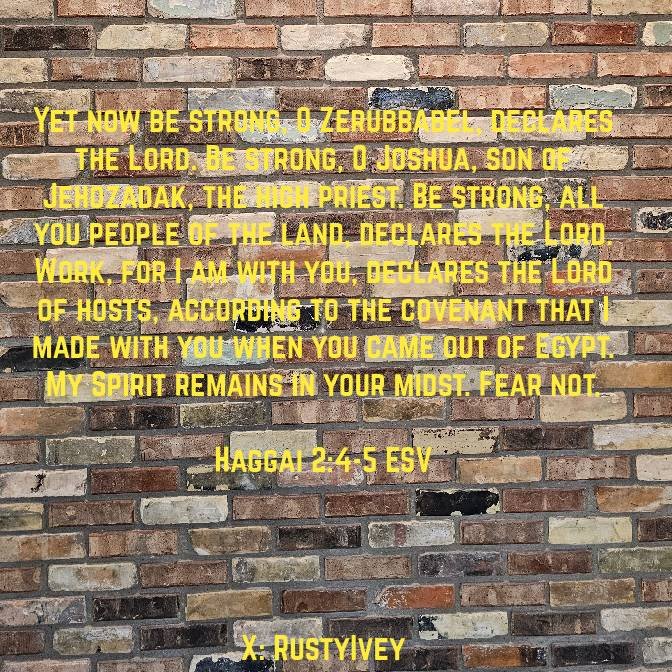 RustyIvey's tweet photo. Yet now be strong... Be strong, all you people of the land, declares the Lord. Work, for I am with you, declares the Lord of hosts, according to the covenant that I made with you when you came out of Egypt. My Spirit remains in your midst. Fear not.
Haggai 2:4-5 ESV https://t.co/Yjbq8W1QA2