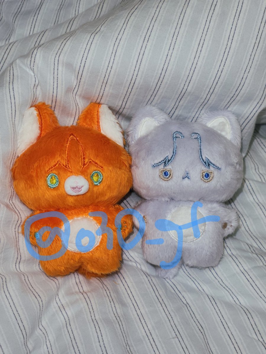 o30_gf's tweet photo. 10센치 동물형 커미션 작업했습니다 🧡🩶 https://t.co/Bec4J6LDYT