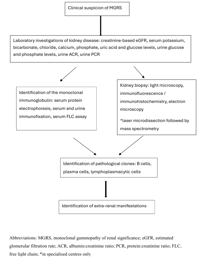 asnpublications's tweet photo. #Review in #ASNKidney360: Monoclonal gammopathy of renal significance (MGRS) can cause serious kidney injury even without overt cancer. Early diagnosis and clone-directed therapy are key, highlighting need for collaboration with nephrology, pathology, and hematology teams. https://t.co/OBiyDHTP3A