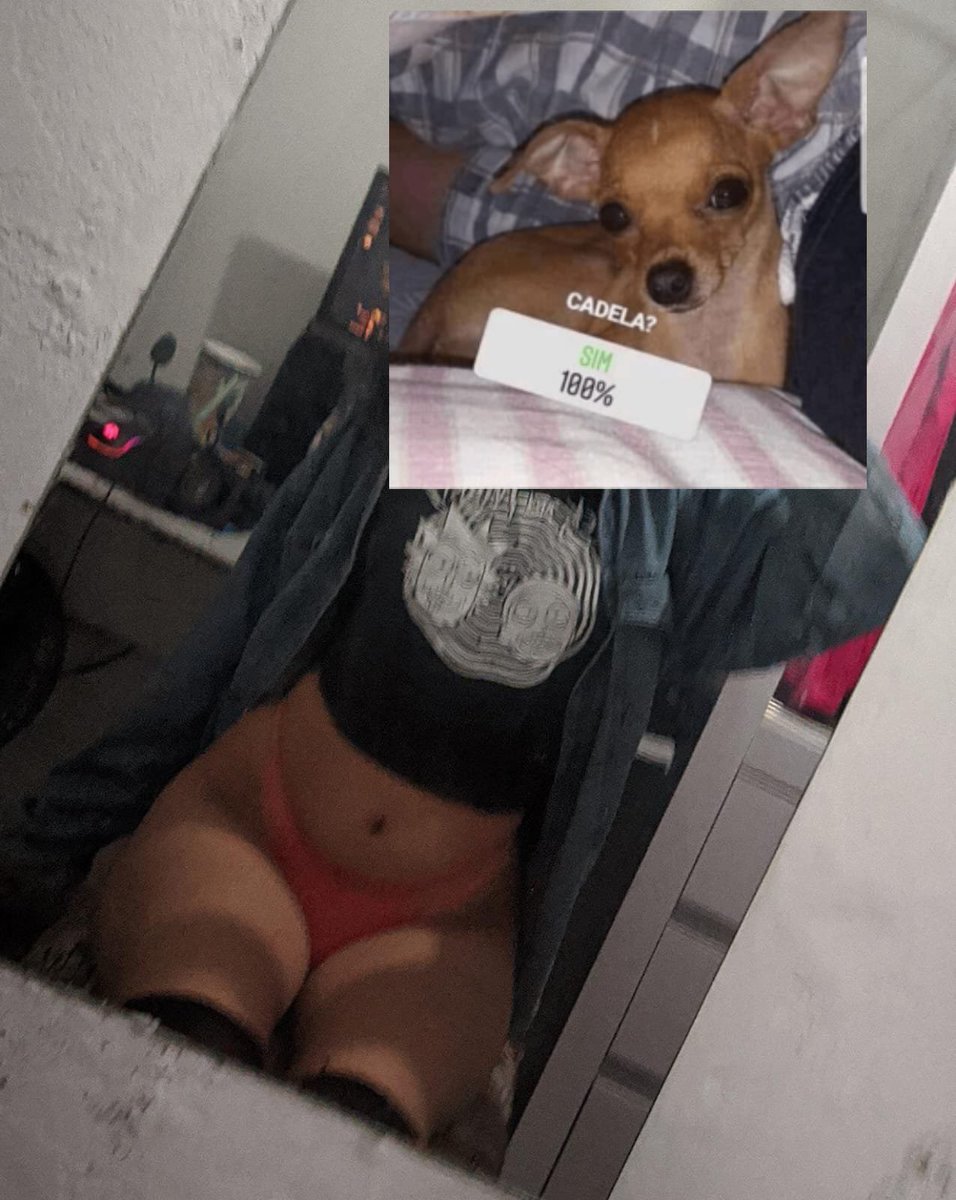 idiotapramulher's tweet photo. cadê os ratinhos de academia que gostam de uma nerd rabuda?
#PINTOAWARDS
#PINTOAWARD
#PINTOSAWARDS
#PINTOSAWARD
#PEITOAWARDS
#PEITOSAWARDS
#BUNDAAWARDS
#BUNDASAWARDS
#RABAAWARDS
#TROCONUDS
#XOTAAWARDS https://t.co/4PMm7GWiPy