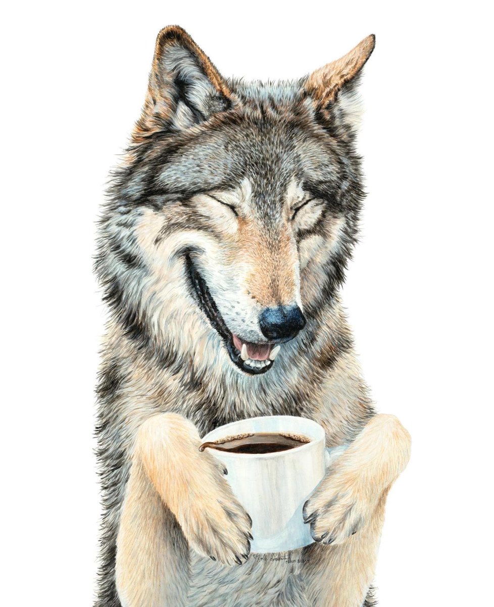 HollySimental's tweet photo. Coffee In The Moonlight signed prints posters cards and stickers in my #etsy shop. https://t.co/jiO7cJfJag also available #wholesale at #faire https://t.co/AUz7a7Bpko #wolf #wolfart #coffee #coffeelover #coffeeshop #gift #giftideas #giftshop #bookstore #wildlife #hollysimental https://t.co/Nys6q4aLK6