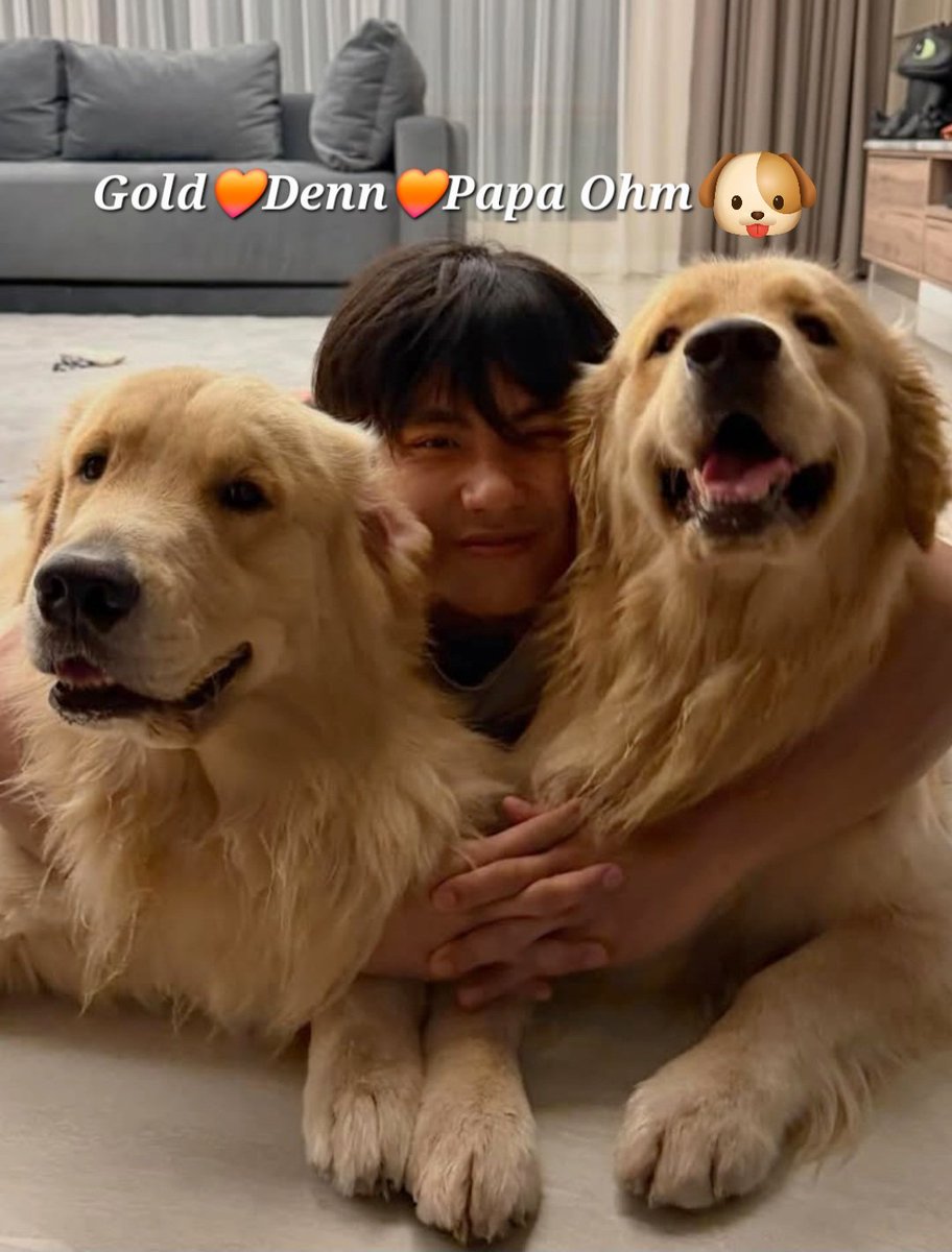 Yim__Smile's tweet photo. Miss You Three,  A Lot 🧡🐶🧡
Hopefully, Yous Are Awsome. 
Sending  Love

#ohmpawat #gold__denn
@ohmpawatt https://t.co/JhgEGajtwr
