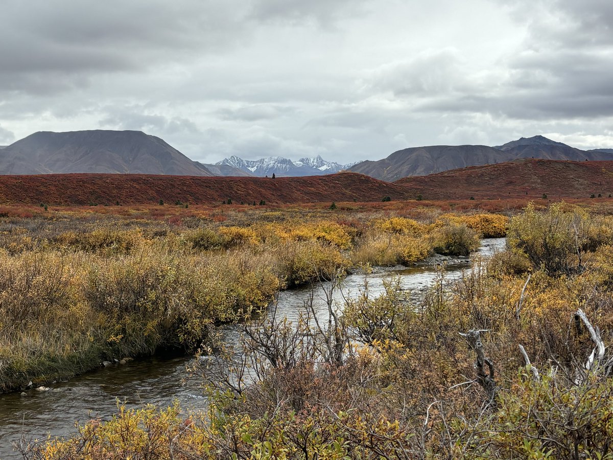 themountainmove's tweet photo. The wilderness is always on my mind … https://t.co/NF17uxvsD1