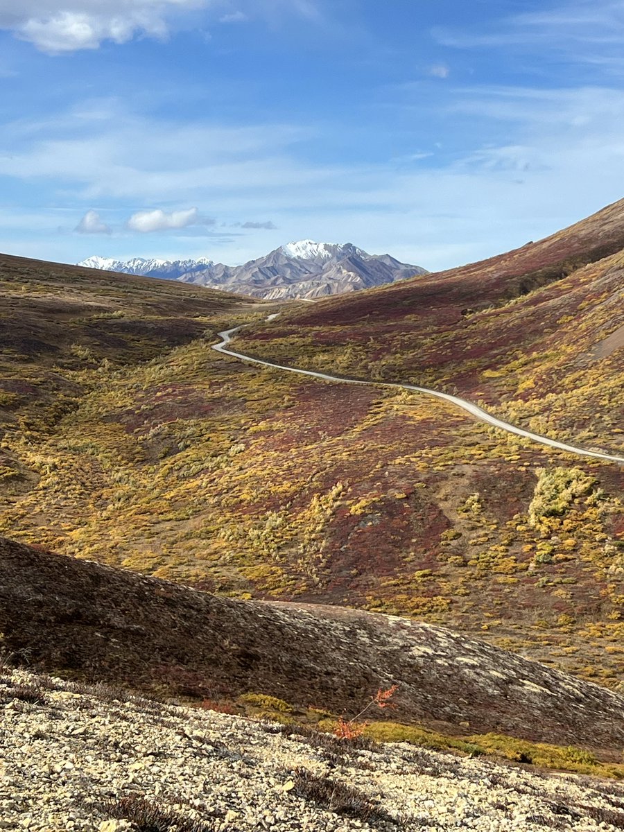 themountainmove's tweet photo. The wilderness is always on my mind … https://t.co/NF17uxvsD1