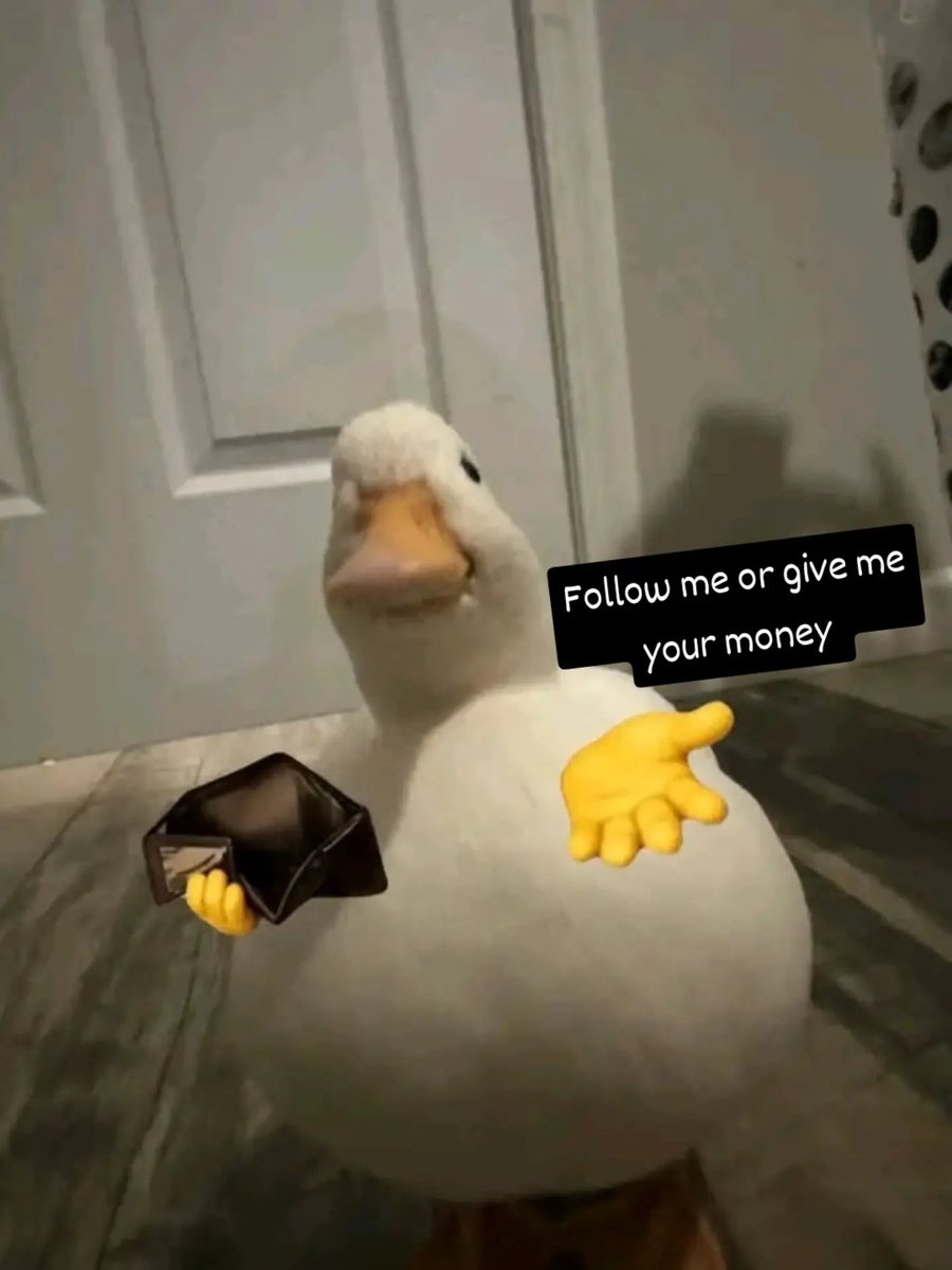 Hero2D95's tweet photo. DUCK 🪿 ( digital art ) 
From Idea to Final 

Art, No AI Used 🚫, Real Artist, Funny Drawing, Art Sharing, Art Editing, Funny Art
 #art #artist #drawing #funny #digitalart #funnyart #noAI #animal https://t.co/cE06CYgVd3