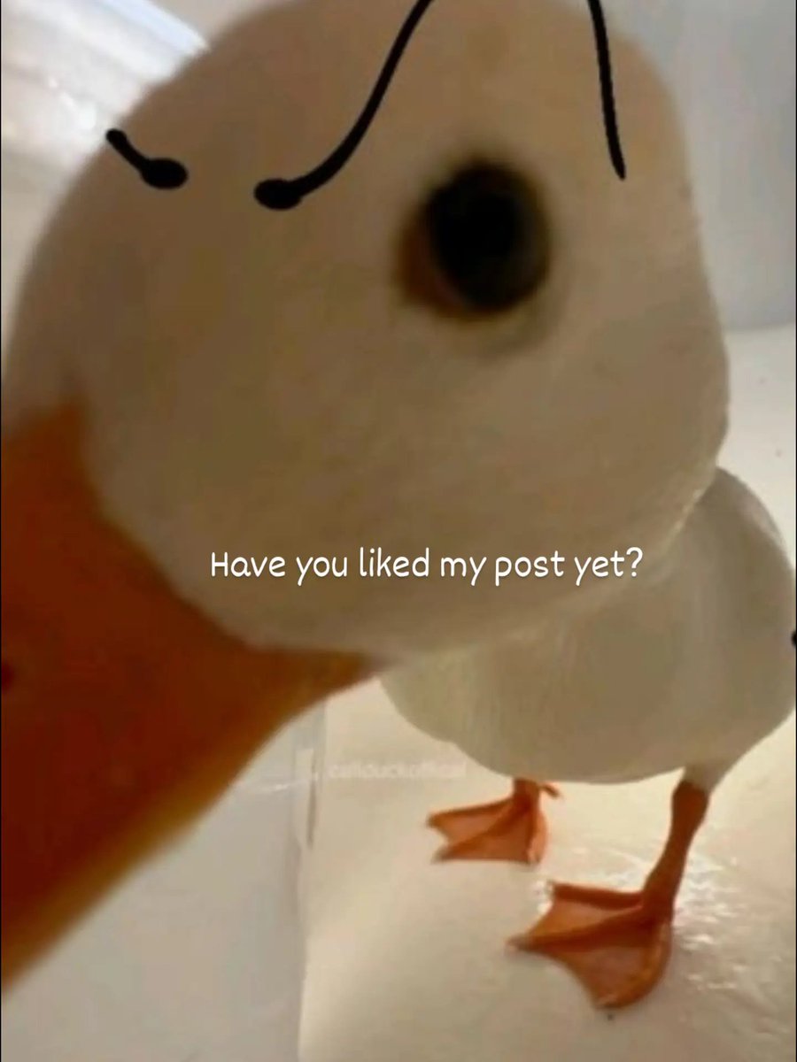 Hero2D95's tweet photo. DUCK 🪿 ( digital art ) 
From Idea to Final 

Art, No AI Used 🚫, Real Artist, Funny Drawing, Art Sharing, Art Editing, Funny Art
 #art #artist #drawing #funny #digitalart #funnyart #noAI #animal https://t.co/cE06CYgVd3