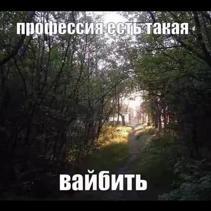 aizlile's tweet photo. Как же трудно искать тут друзей 
давайте все мьюшится https://t.co/WxcU7cFB85