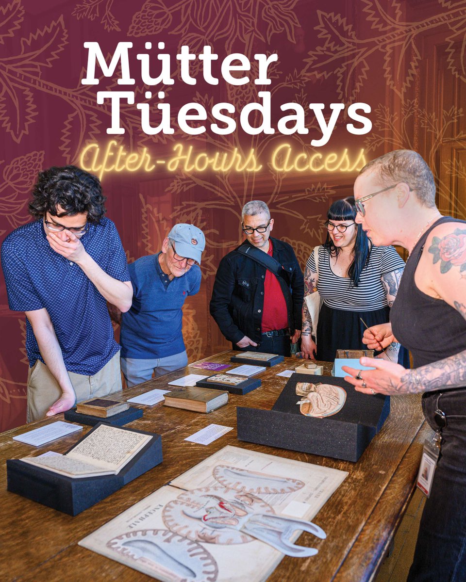 MutterMuseum's tweet photo. Celebrate fall at the Mütter Museum!🍂

Only one month remains of our special Mütter Tüesday extended hours! Opera on Tap joins us for a live performance this Tuesday.

Learn more and reserve your ticket: https://t.co/ptAkNMiE6l https://t.co/BXY8w0ZSd6