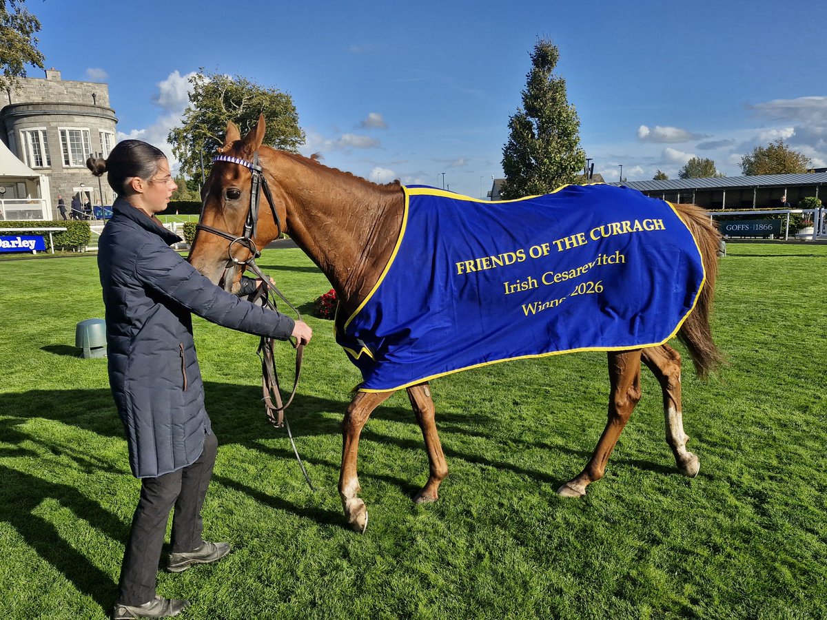 SportsNewsIRE's tweet photo. Chally Chute (16/1) and Sam Coen land €500,000 Friends Of The Curragh Cesarewitch @curraghrace for @rosullivan82 https://t.co/Akso5A5m8x