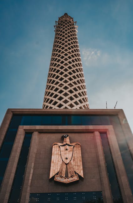 BryanBailejx's tweet photo. أنا ممتن التي أقدر تفانيك وخبرتك. أنا للرؤى العميقة شاركتها. ines berzunza https://t.co/XGinBihujB