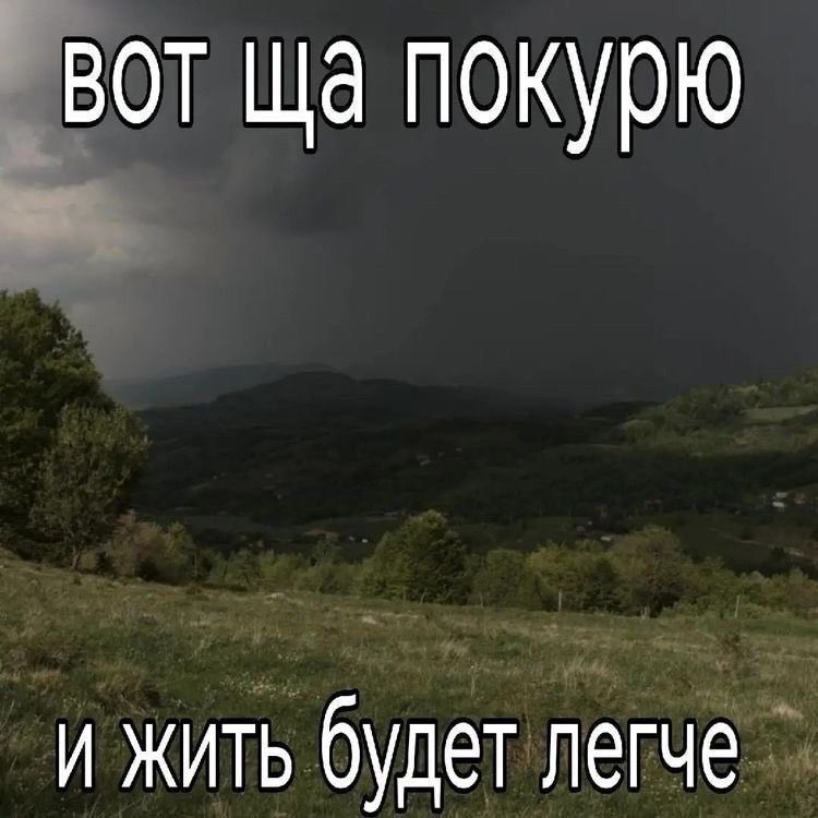 ofodkfdl's tweet photo. https://t.co/mz6iUp4rAX