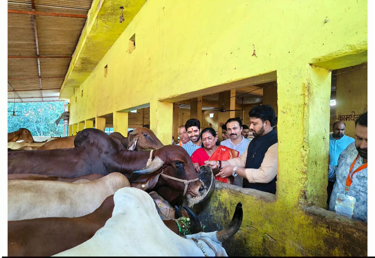 shyamtailorsjr's tweet photo. सेवा संकल्प अभियान के अंतर्गत अर्श गुरुकुल महा विद्यालय में सेवा यात्रियों के साथ गुरुजन सम्मान, छात्र संवाद एवं गौसेवा के माध्यम से सेवा कार्यों में सहभागिता की।

इस अवसर पर गुरुजनों का सम्मान कर विद्यार्थियों से संवाद किया तथा सेवा यात्रियों के साथ सेवा एवं संस्कार के संकल्प को आगे बढ़ाया।

सेवा ही संकल्प • सेवा ही संस्कार