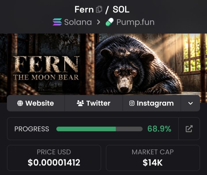 luckyosamu123's tweet photo. Here is my thesis on $Fern on fomo app and why I feel it can be the next Multi million dollar animal runner on @Pumpfun:

🔹Fern is a bear (animal meta)

🔹She lost 21 years of her life in a cage and people on CT will easily resonate with her story(Lore)

🔹Donations is currently going to the wallet of the animal foundation that rescued her

🔹An active community of people in crypto are rallying behind her 

🔹The video of Fern is going viral across Instagram and other social media platforms 

Virality + Animal meta + Lore + Active community = Multi millon dollar runner on Solana

CA of $Fern

BfK1fZuZjcgtxpdKowafwDzFTywdVzyQb5mRYAdHpump

@MemeRetire 
@Ga__ke 
@slingoorio