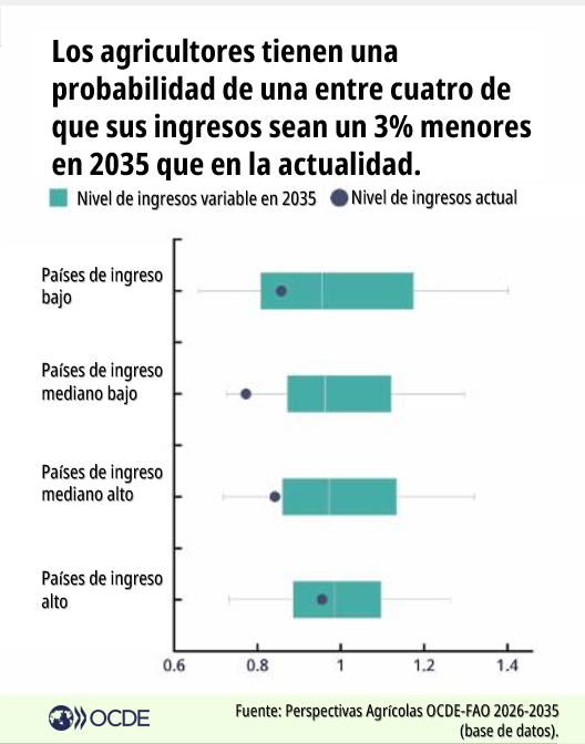 ocdeenespanol's tweet photo. Los ingresos agrícolas podrían crecer en la próxima década, pero los riesgos persisten. Hay 1 probabilidad entre 4 de que en 2035 sean inferiores a los actuales.

Más información en las Perspectivas Agrícolas #OCDE-@FAO 2026-2035: 🔗https://t.co/3B0FtUMo8P https://t.co/QXBiAy83u8