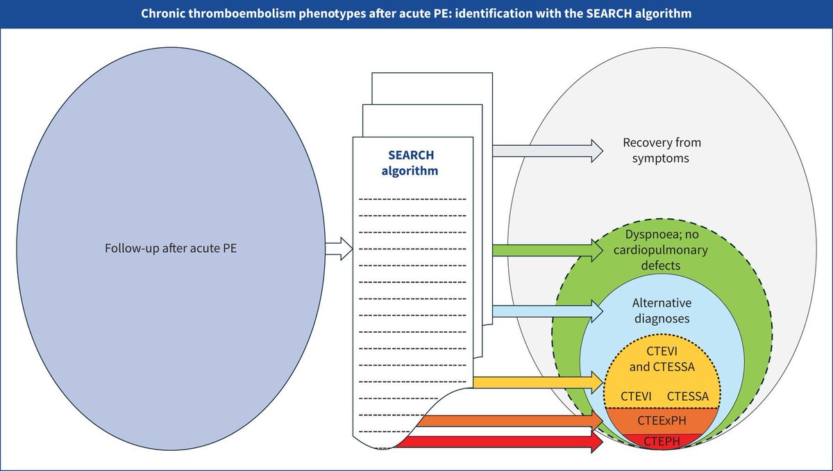 ATS_PC's tweet photo. How are you identifying post-PE phenotypes? This study's validation of the SEARCH algorithm offers clinicians a straightforward method to diagnose post-PE conditions that are rarely distinguished clinically. @ERSpublications https://t.co/fwIbDFfzSq https://t.co/bGFT9AwwnG