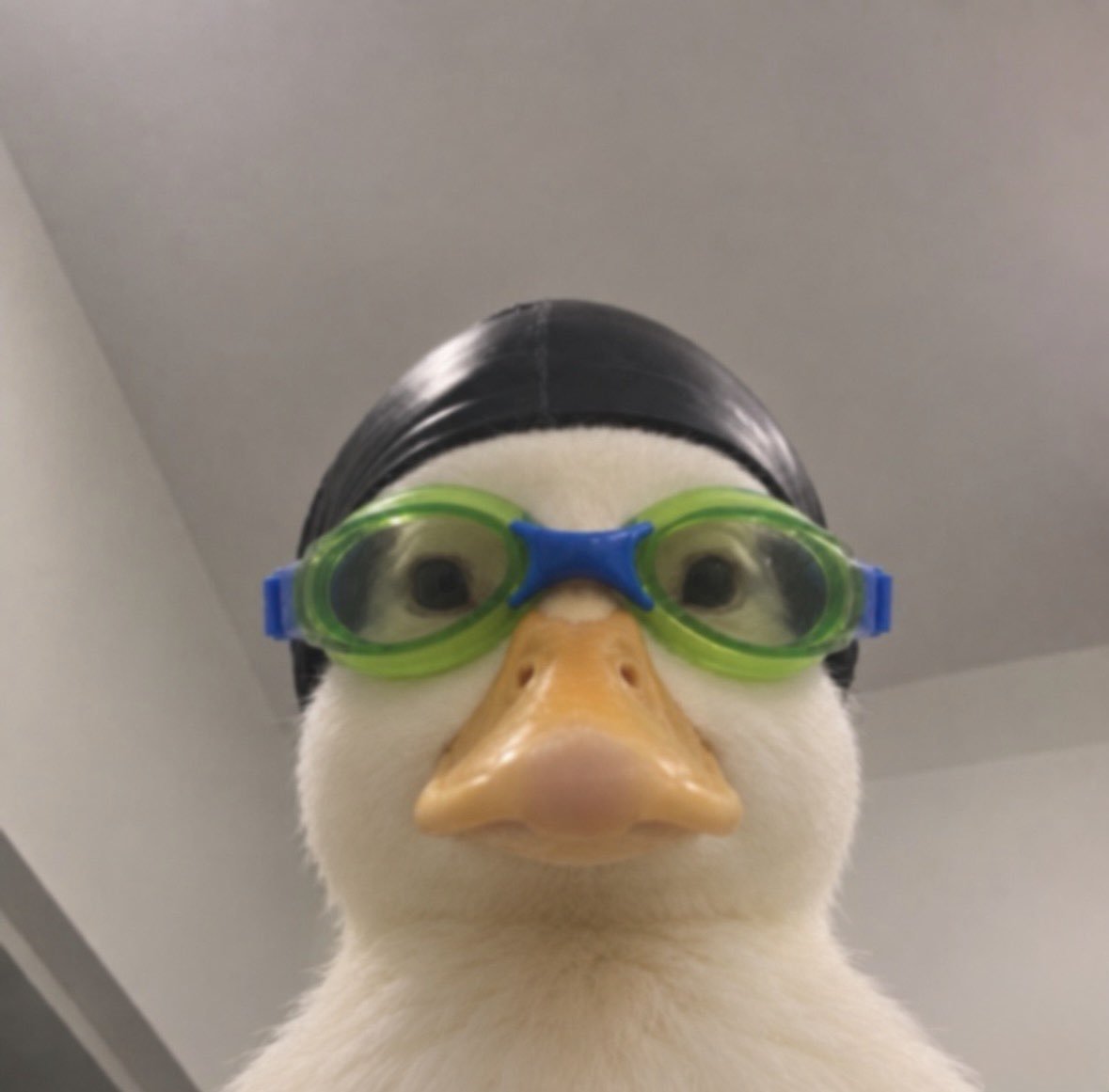 Parzelion's tweet photo. Me getting ready to deep dive into the new deadlock patch that will change the trajectory of the game forever 🫡 https://t.co/ATMXiaXnPY