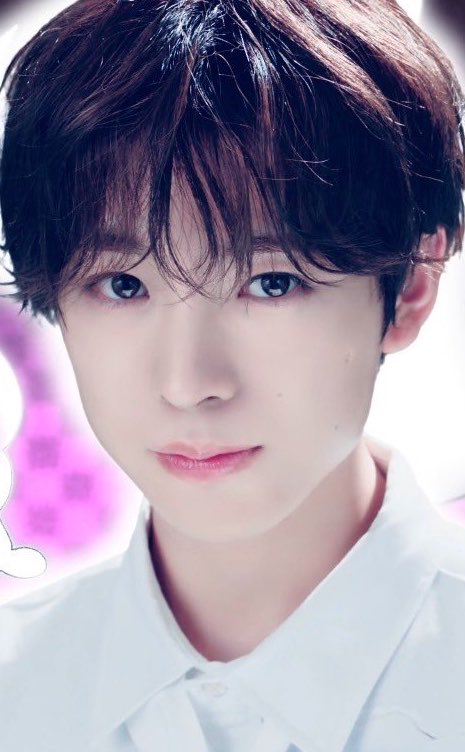 kawaiinogaski's tweet photo. 절대 거부할 수 없어서 무조건 피해야하는 눈망울 https://t.co/Scy2nHEiB5