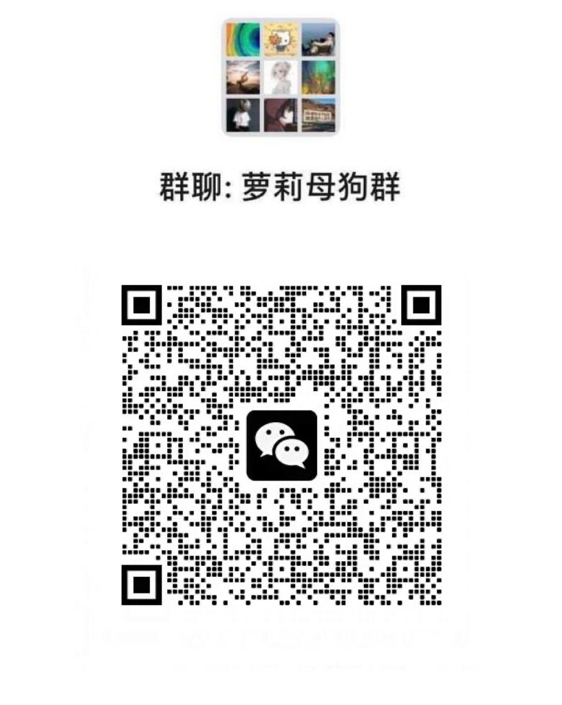LibertyWicccsi's tweet photo. 男生舔逼的时候不要一直在外面舔，可以把舌头伸进去然后打转…那样女生会爽死的 #母狗 #自毁 #投稿 #堕落 #反差 #骚货 #性瘾 #健身婊 #白富美 #调教 #羞辱 #大学生 #女大贱货 #颜射 #骚货 #语爱 #网调 #做爱 #口交 #口暴 #颜射 #乳交 #性瘾 #自慰 #性交 #粉穴 #姐姐 #轮奸5 https://t.co/pejm5RaAxv