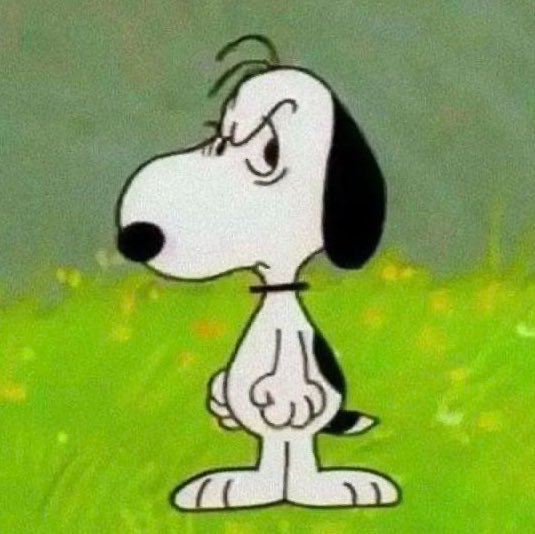 maygrantdaily's tweet photo. snoopmay ੯‧̀͡⬮ https://t.co/uaFCyXDu9W
