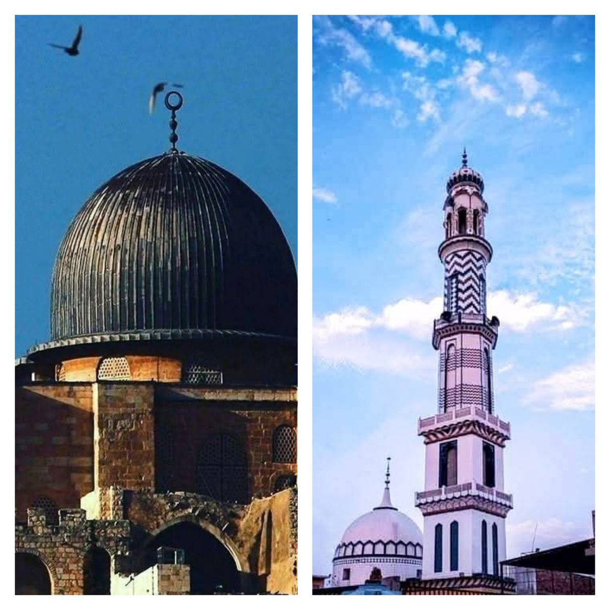 MairaRizvi043's tweet photo. اور کفر کو مسجد اقصیٰ کے بعد جس مسجد سے خوف ہے وہ ہے مسجد رحمت اللعالمین
#IsraelStillKillsPalestinians https://t.co/sBL2Ph477m