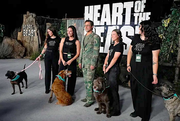 markolukac's tweet photo. Brad Pitt + 4 udomljiva psa (Wags and Walks) na premijeri Heart of the Beast — i treći spašeni pas kod kuće.

🐾 Pazite: novog psa uvodite polako (mirna soba, odvojene šetnje/obroci, bez forsiranja).

https://t.co/RTpcrrgKHx https://t.co/uWRYL7gx4F