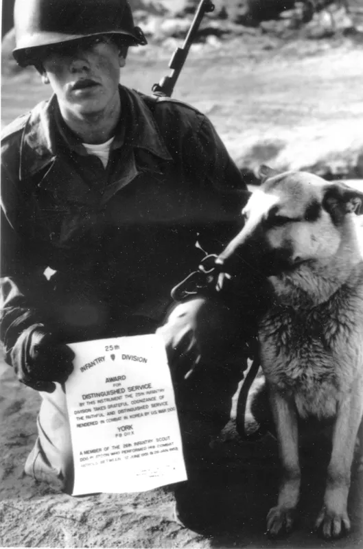 ForgottenWarPic tweet picture