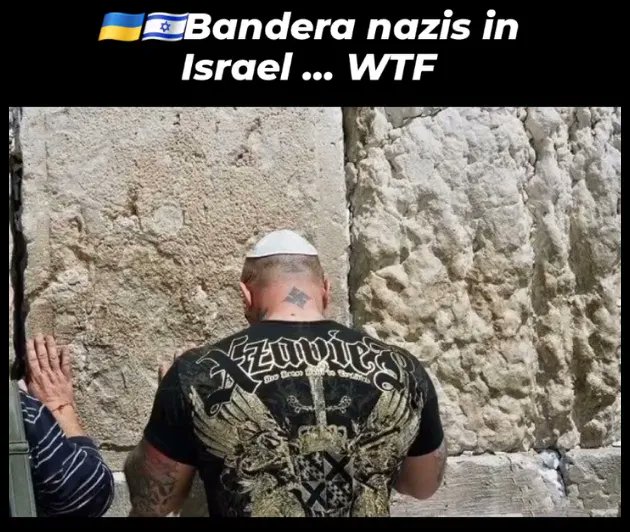 EloCuted's tweet photo. @TRobinsonNewEra Finally you talk about UPA nazis!!!!!! https://t.co/Z7P67Z1JIg