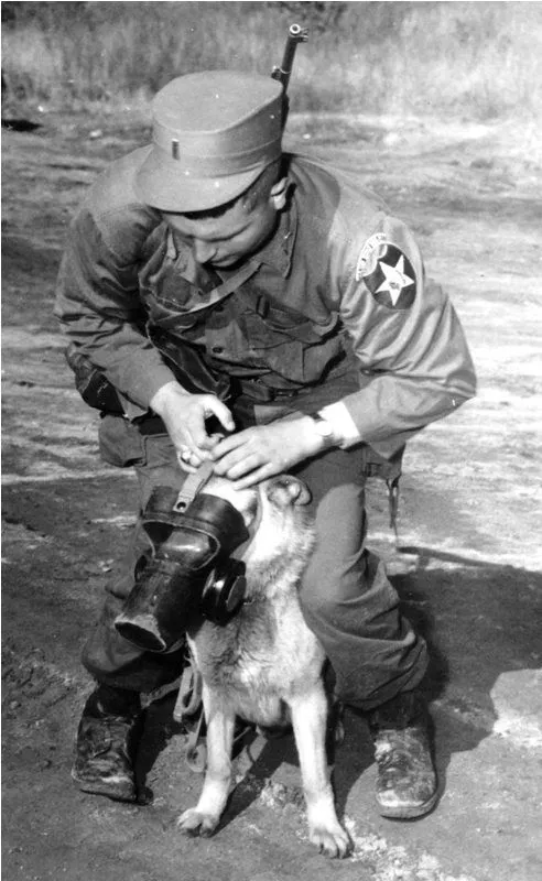 ForgottenWarPic tweet picture