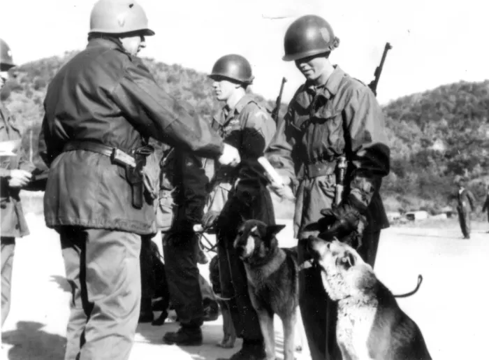 ForgottenWarPic tweet picture