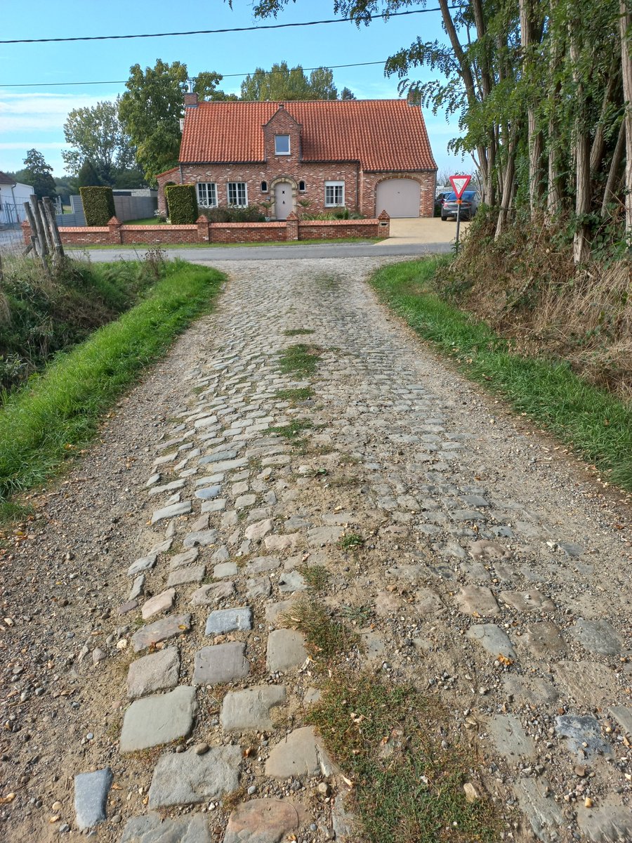 ZRoztocza's tweet photo. Następny tydzień minął jak z bicza strzelił ,sezon trwa 🍓🇧🇪. https://t.co/eR5axiKFbl