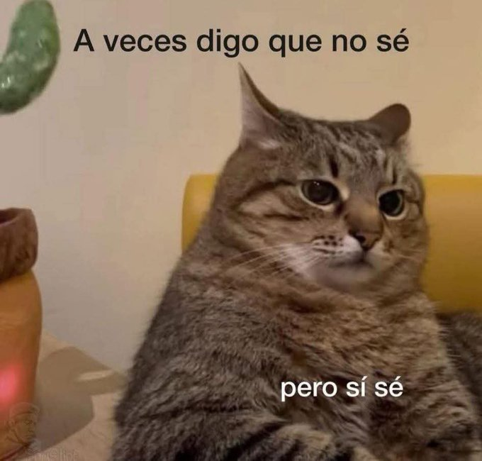 Tachogalan's tweet photo. aceves https://t.co/Kgg4v09KHD