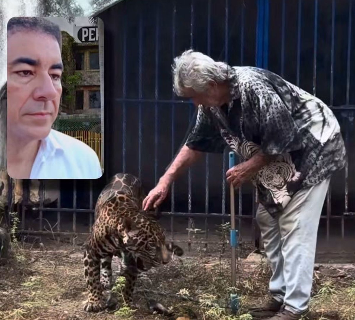 quintanaroonews's tweet photo. #Entérate "Se tenía que decir"
El caso de Pepe’s Tigre no es para salvaguardar a un tigre que según por años pasó “Desaprecido” es la ambición de un funcionario del @GobQuintanaRoo de Hermelinda @MaraLezama José Alberto Alonso Ovando de extitular del @AgeproQ
Y actual titular de la @SEDETUSQROO de apoderarse de un lote de varias hectáreas y anclado en el corazón de la zona hotelera de #Cancún Así con este miserable del gobierno humanista.