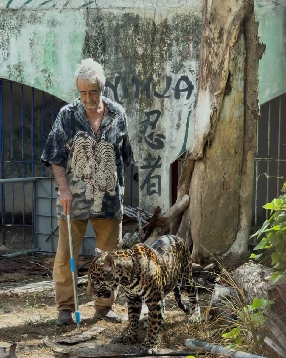 quintanaroonews's tweet photo. #Entérate "Se tenía que decir"
El caso de Pepe’s Tigre no es para salvaguardar a un tigre que según por años pasó “Desaprecido” es la ambición de un funcionario del @GobQuintanaRoo de Hermelinda @MaraLezama José Alberto Alonso Ovando de extitular del @AgeproQ
Y actual titular de la @SEDETUSQROO de apoderarse de un lote de varias hectáreas y anclado en el corazón de la zona hotelera de #Cancún Así con este miserable del gobierno humanista.