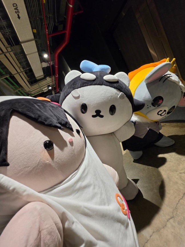 BJJ54EVA's tweet photo. หลานเซลฟี่น่ารักมากกกกก 🥺🥺🥺🥺 https://t.co/sgVZU0a7qD