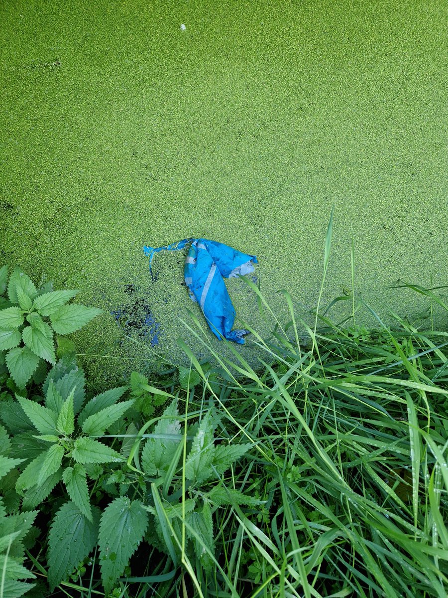 EBS023's tweet photo. Nog even een rondje voor mijzelf de andere kant op. Ook daar weer genoeg tegengekomen helaas...
#Supportervanschoon #TrashWalking #zwerfie #Poortugaal #Albrandswaard https://t.co/VH4IALeRtW
