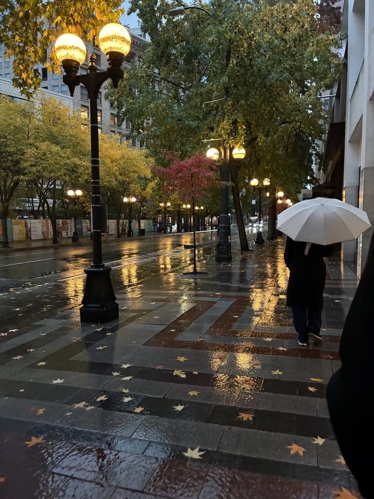 liIacdaisy's tweet photo. rainy cities https://t.co/bvunceTk7r