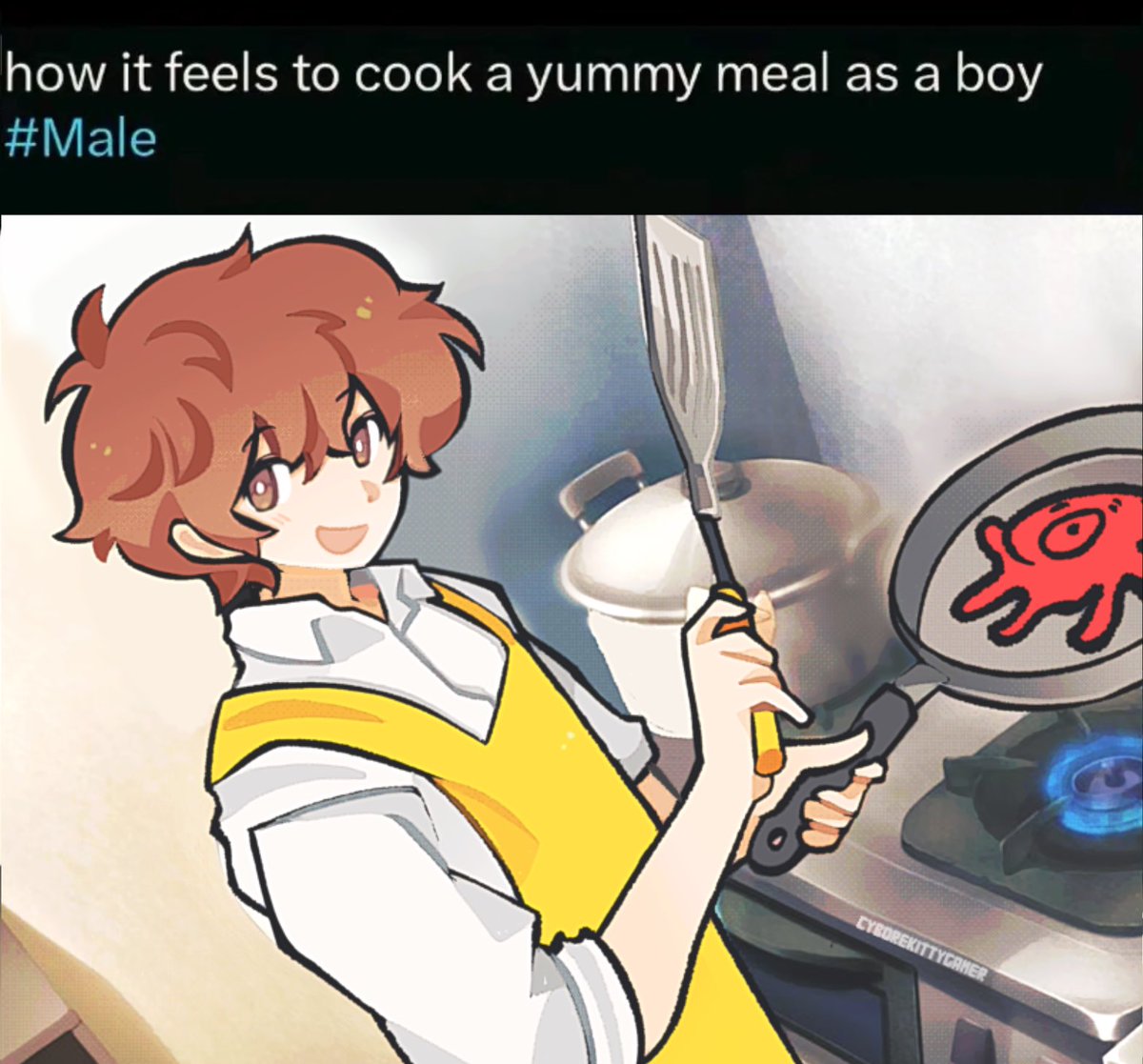 cyborekitygamer's tweet photo. how it feels to cook a yummy meal as a boy
#Male https://t.co/tPNL9tB2n3