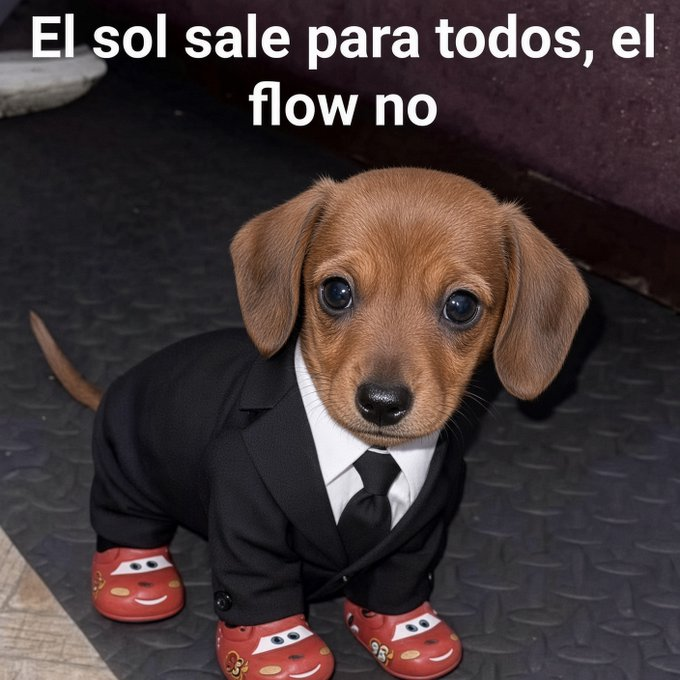 Tachogalan's tweet photo. yo en la camara de diputados jasdjajs: https://t.co/EoHir6ImMb