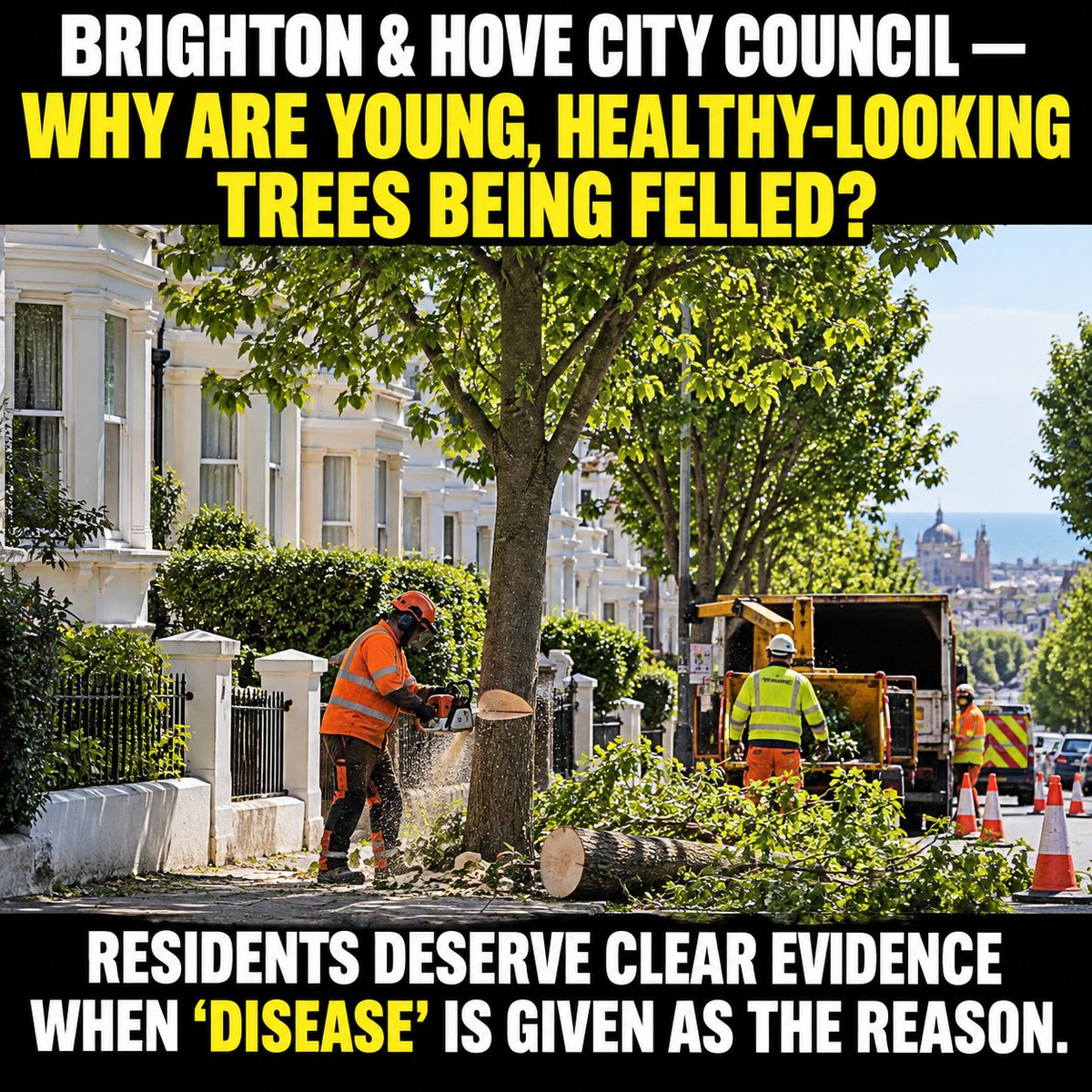 SallyRaynor1's tweet photo. @BrightonHoveCC https://t.co/KtQ3HXOwsV