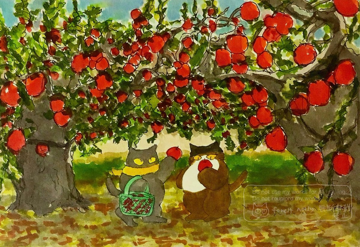 Mollykinoco tweet picture