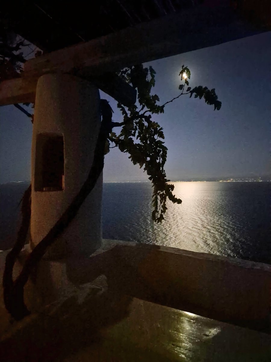 PetrelliFlavia's tweet photo. Buona serata con un'immagine notturna di #Alicudi (Isole Eolie) 🌕 https://t.co/9U2tGQc7qG