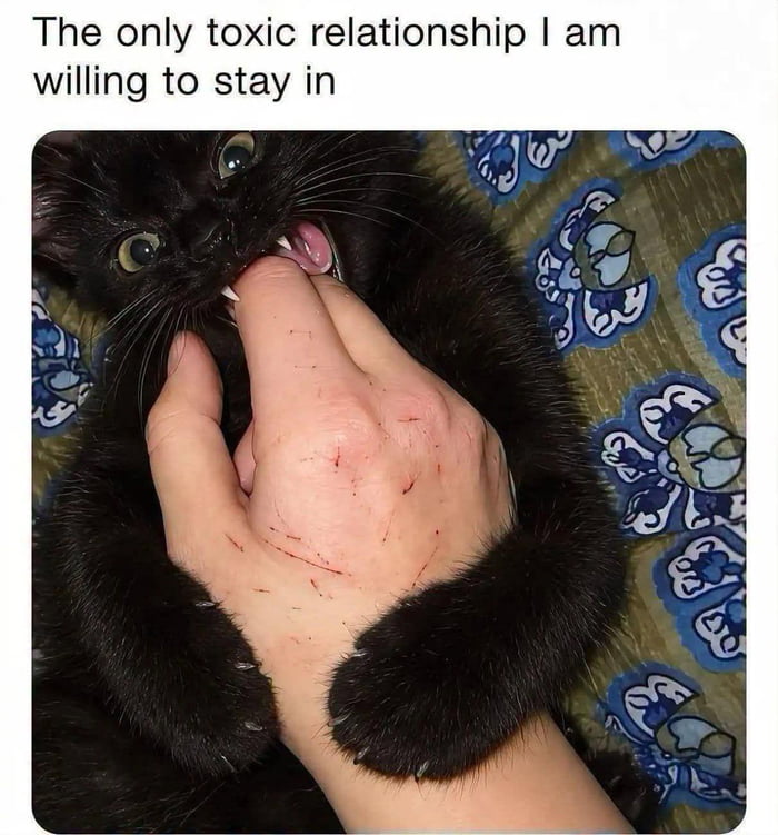 SpaceCatMemes's tweet photo. https://t.co/W2XOPm7YbT