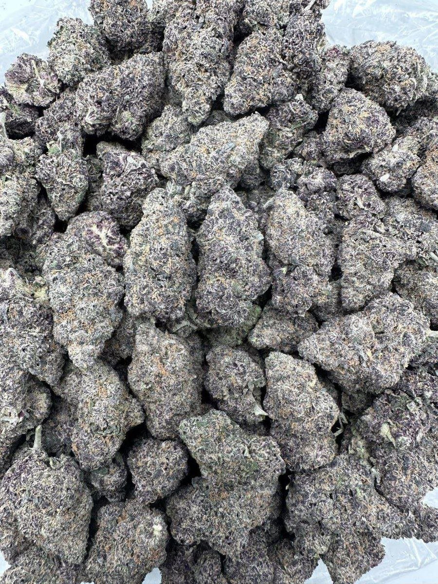 Darius_buds420's tweet photo. 🍇🐍 GRAPE MAMBA 🐍🍇

1 OZ = 155$
4 OZ = 450$
8 OZ = 825$
1 POUND = 1550$

Whatsapp +1 (518)932-6815
#weed #plug #weedstore #drugstm #zaza https://t.co/1eazw3HG8Q