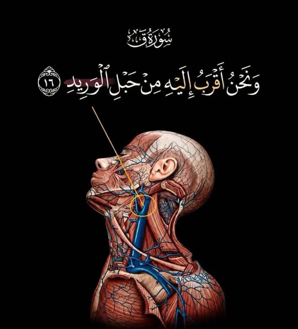 islamicfreedom's tweet photo. Allah is the best creator. https://t.co/Am6OymwgFf