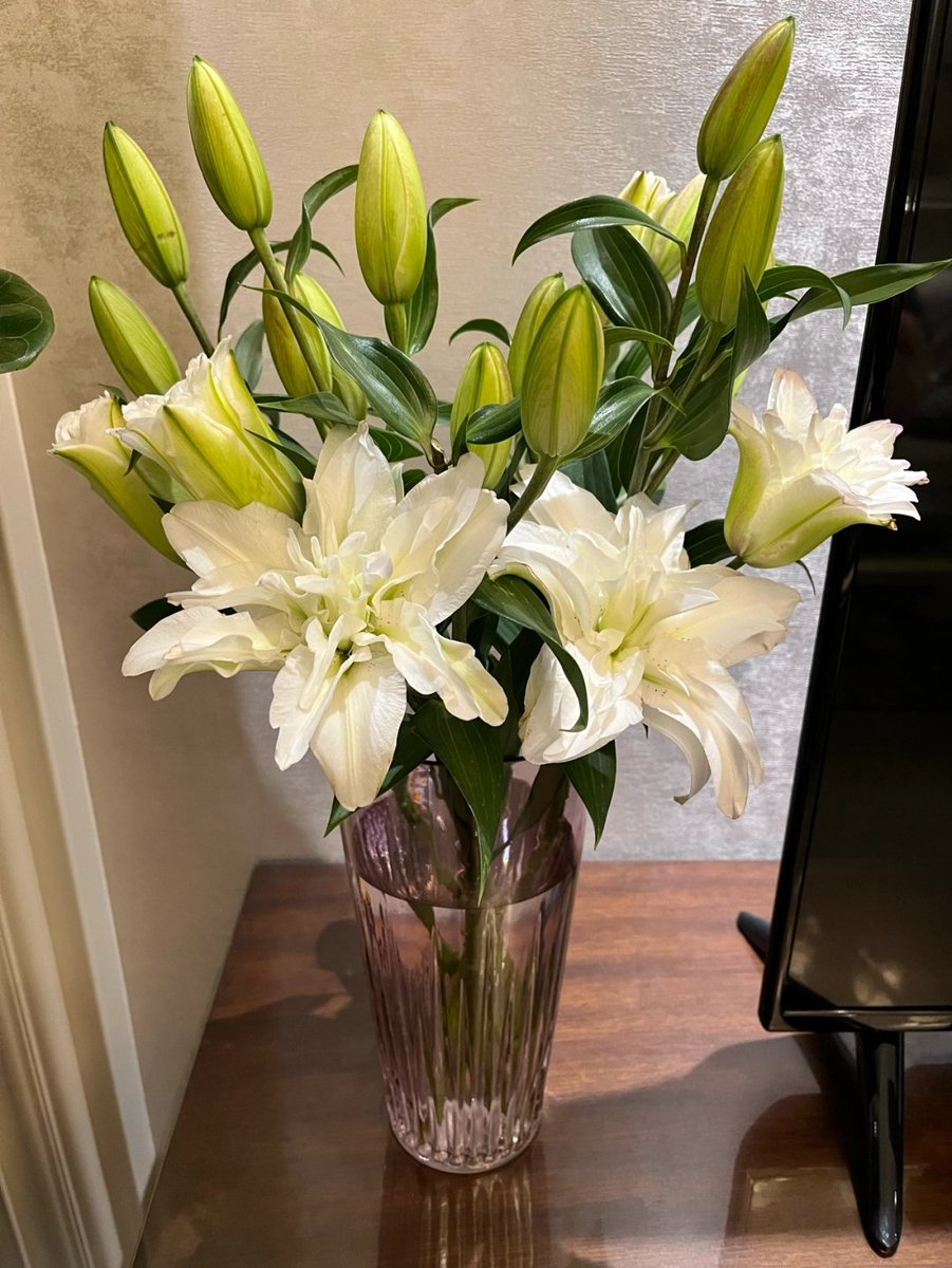 RSciarillo's tweet photo. Buy a bouquet of flowers for your home, and even ordinary days will hold a touch more tenderness. https://t.co/6yGRkWS9Pb